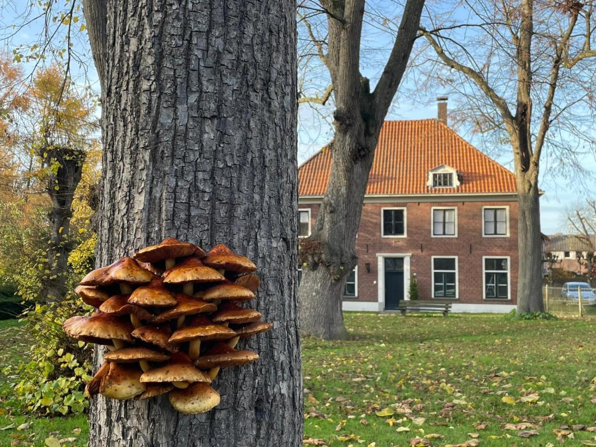 B&B Huize Placida Boxmeer Exterior foto